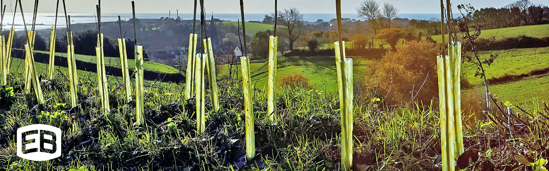 Tree Protectors | Tree Guards | Tree Guards For Fruit Trees | Young Tree Protectors