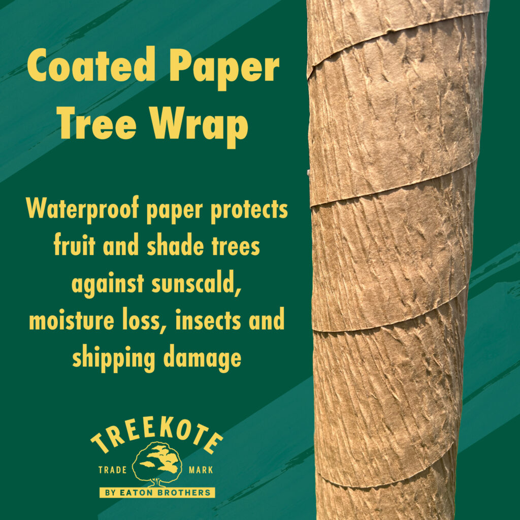 Treekote Paper Tree Wrap | Protect from Sun Scald, Weather, Bugs and salt.