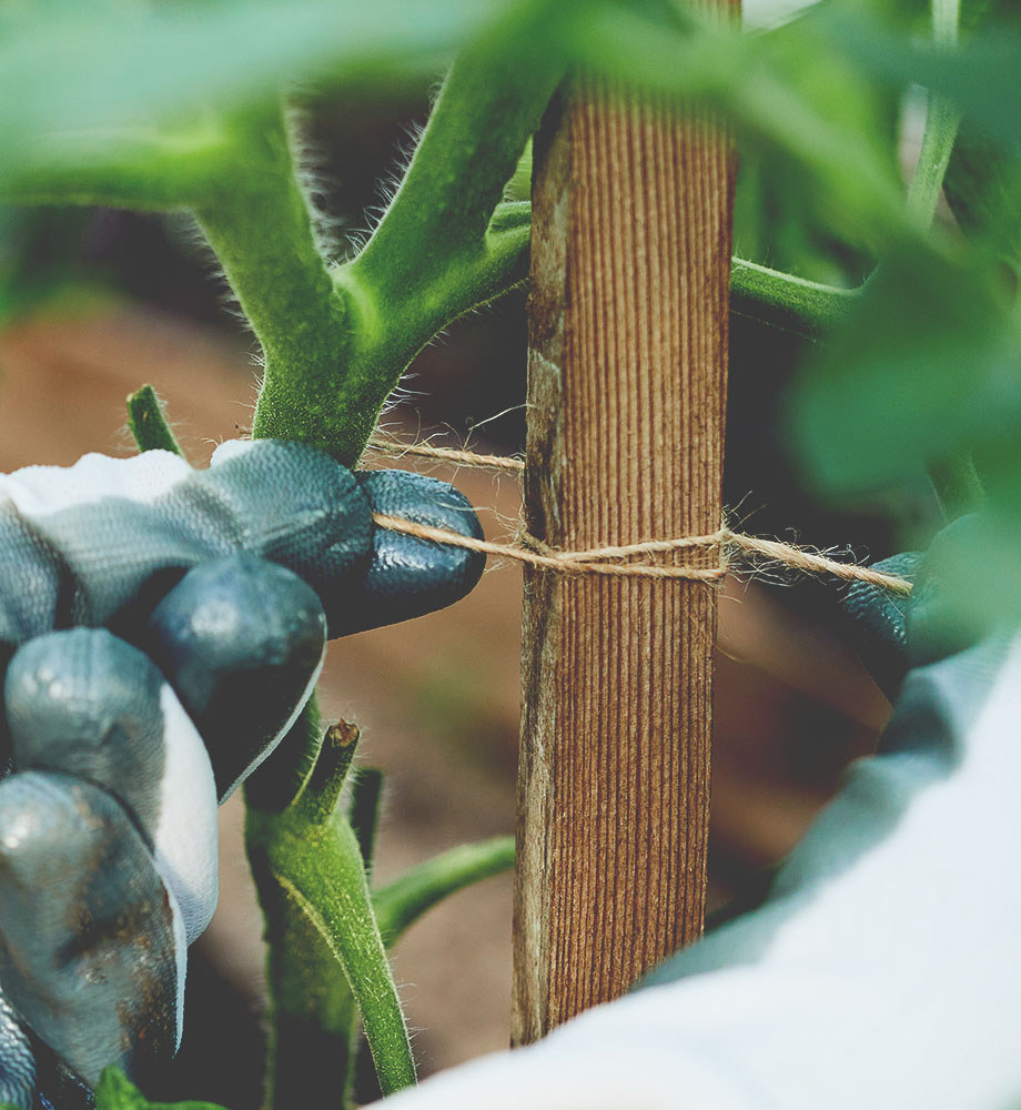 Natural Jute Twine | Jute Garden Twine For Sale | Braided Jute Twine | Eaton Brothers