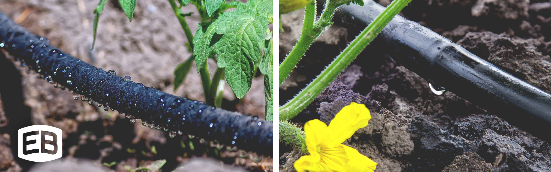 Soaker Hose vs. Drip Irrigation | Eaton Brothers