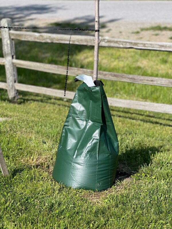 Tree Watering Bag | Tree Bags For Watering | Tree Bag Watering | Self Watering Tree Bags