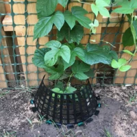 Plant Protector Cage | Plant Protectors From Rabbits | Plant Cage Protector | Plant Knight