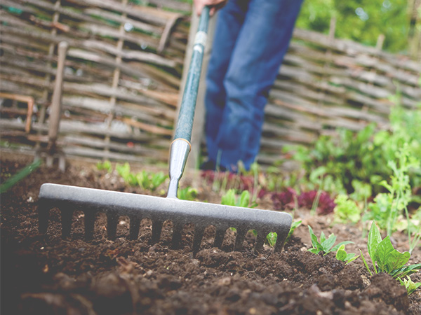 Long Handled Garden Tools | Hand Garden Tools | Garden Rake | Vegetable Garden Supplies | Farm and Garden Supplies