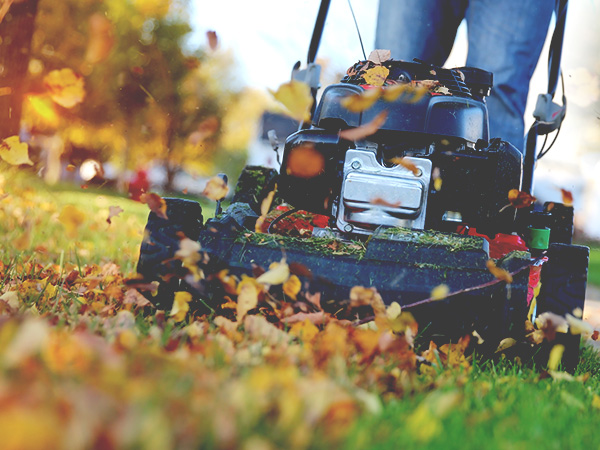 Mowing Lawn in Fall | Should You Mow Your Lawn in the Fall | When to Stop Lawn Mowing in Fall | Fall Weed Prevention | Grass Seeding in the Fall