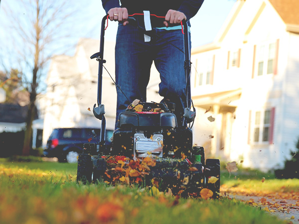 Mowing Lawn in Fall | Cutting Grass in Cold Weather | Mowing Lawn in Cold Weather | Cold Weather Grass Seeding | Grass Seeding in the Fall