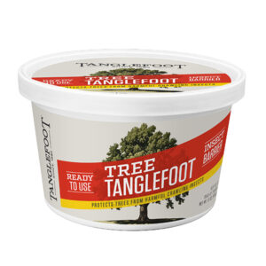 Tree Tanglefoot 15oz Tub | Tanglefoot Insect Barrier | Tanglefoot Tree Insect Barrier | Tree Tanglefoot Insect Barrier | Tanglefoot Pest Barrier